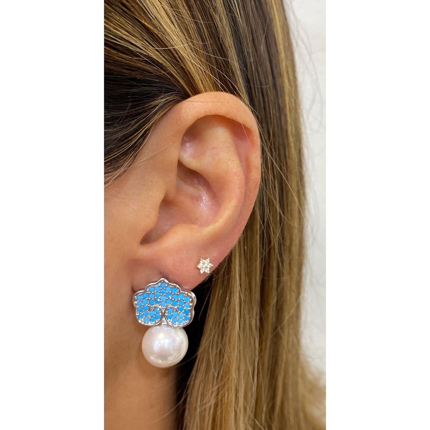 Aretes FIPAT