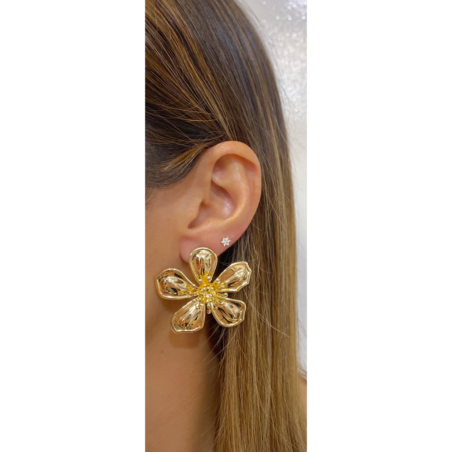 Aretes FRAZ