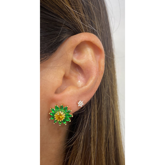Aretes PINUR