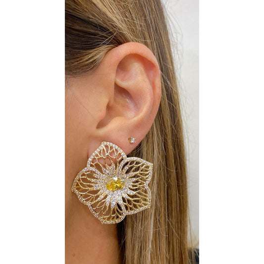 Aretes CASY