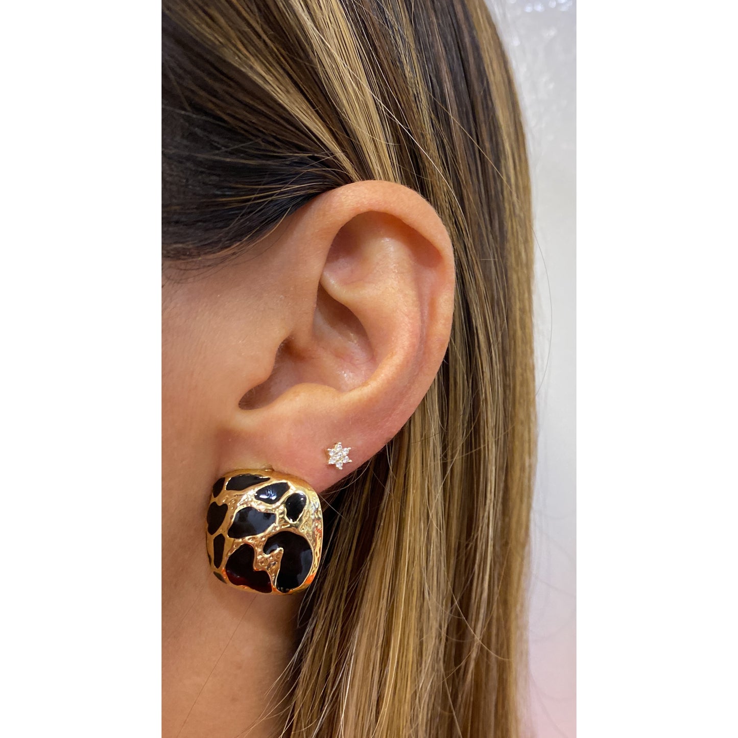 Aretes PAFRI