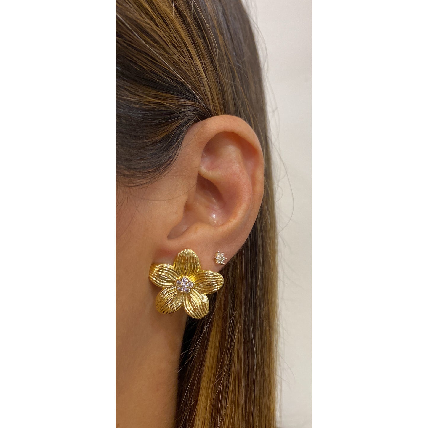 Aretes LASPO