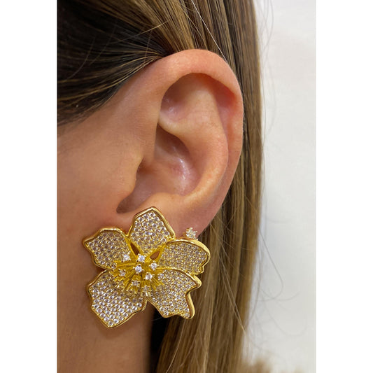 Aretes AZUNI