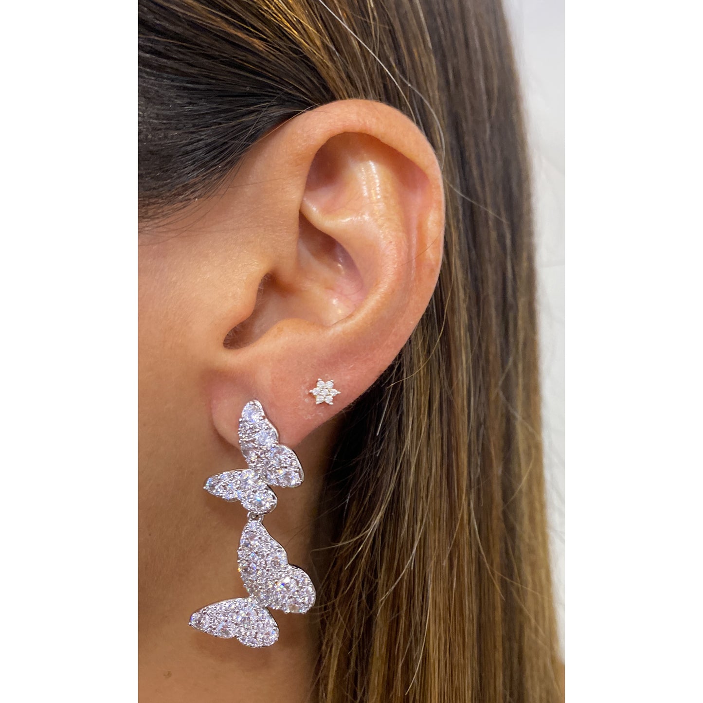 Aretes PAWY