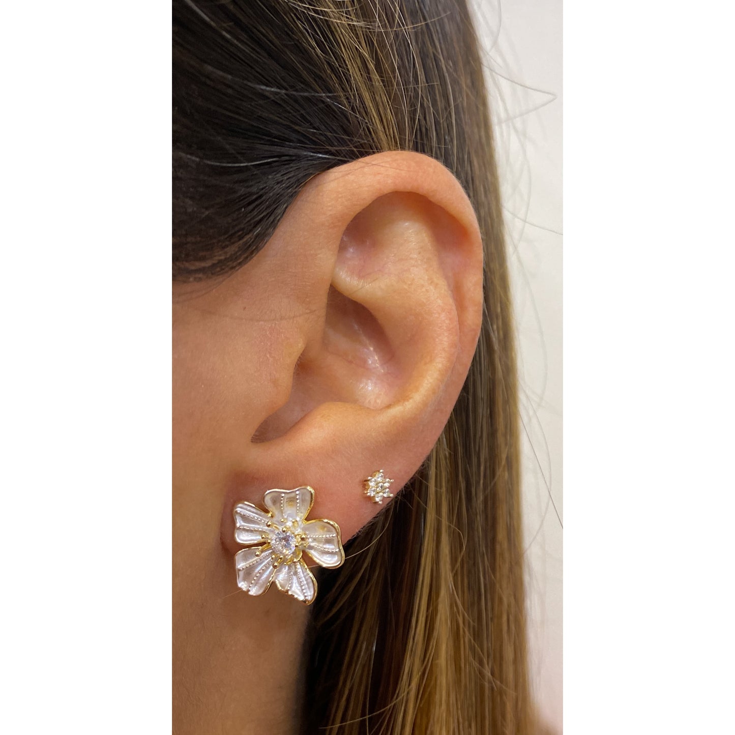 Aretes ROVET