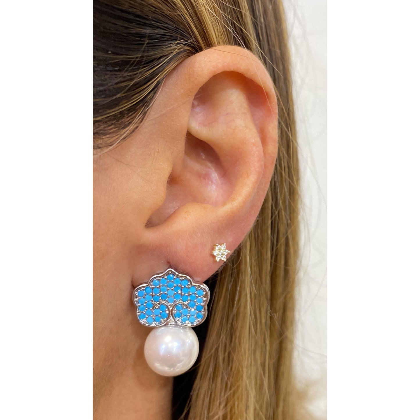Aretes FIPAT