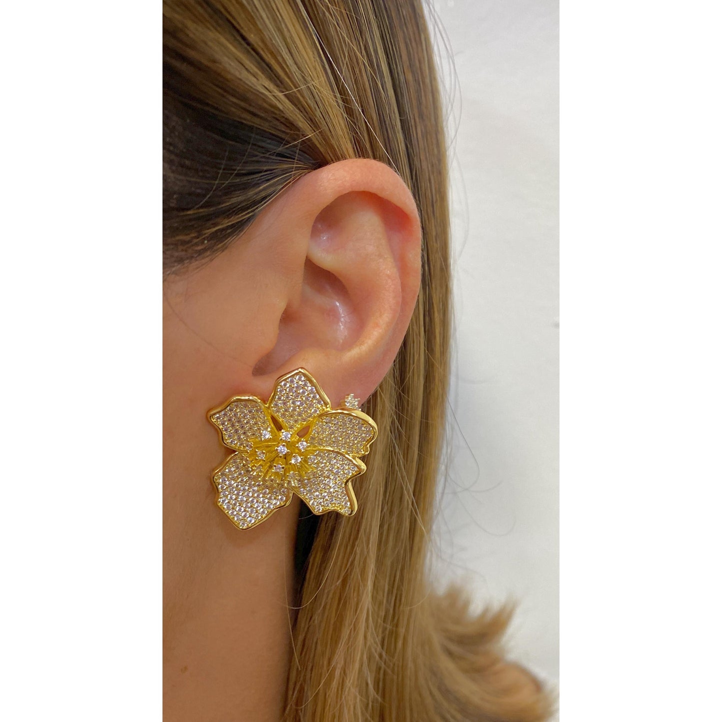 Aretes AZUNI