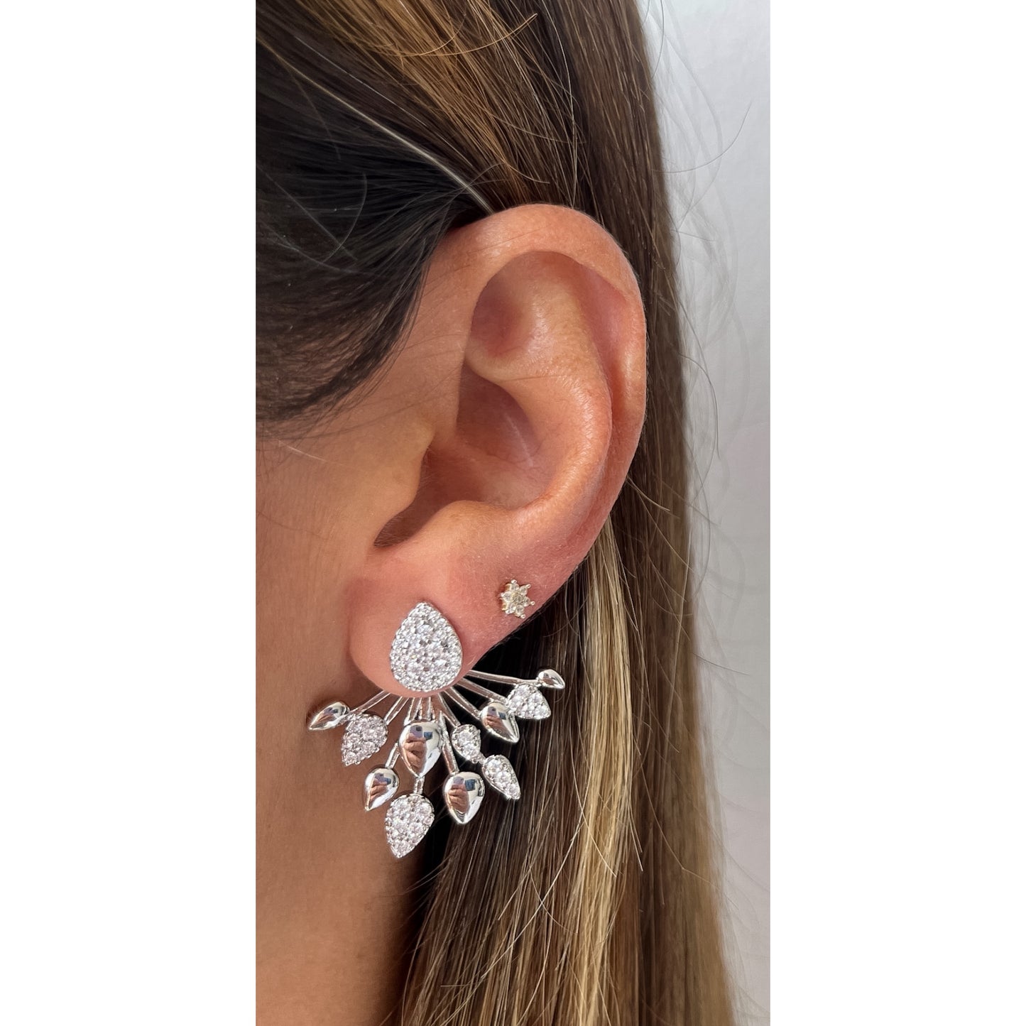 Aretes RYA