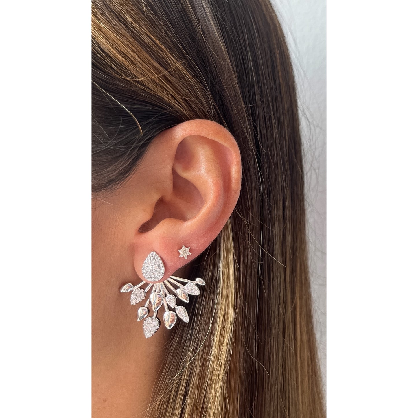 Aretes RYA