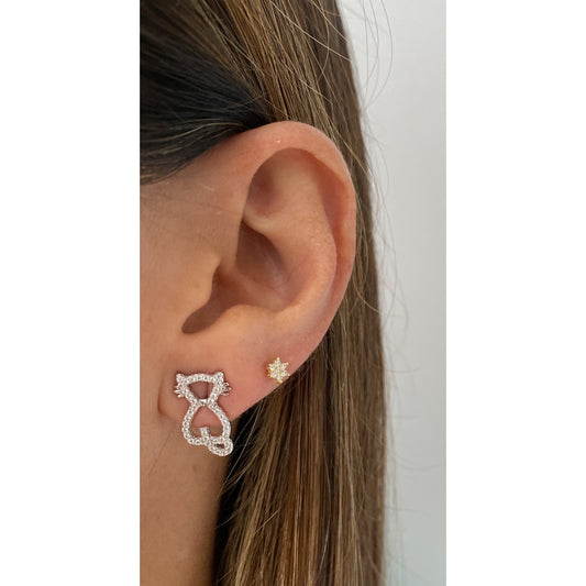 Aretes FINLA Plateado 🐈