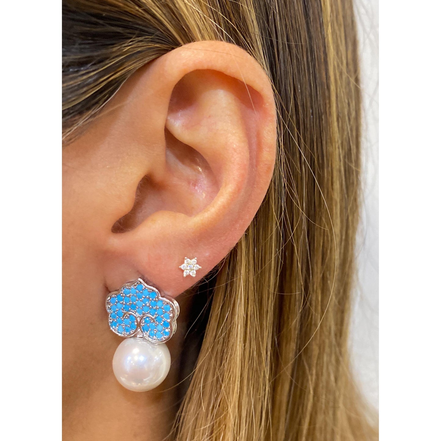 Aretes FIPAT