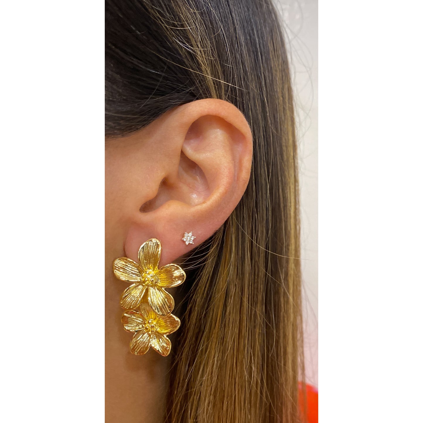 Aretes SUPIV