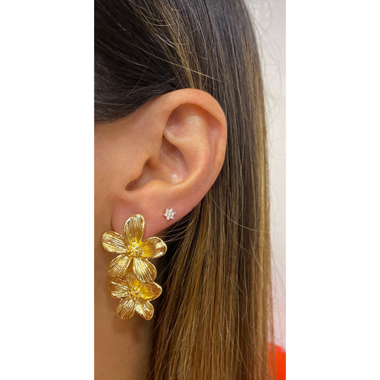 Aretes SUPIV