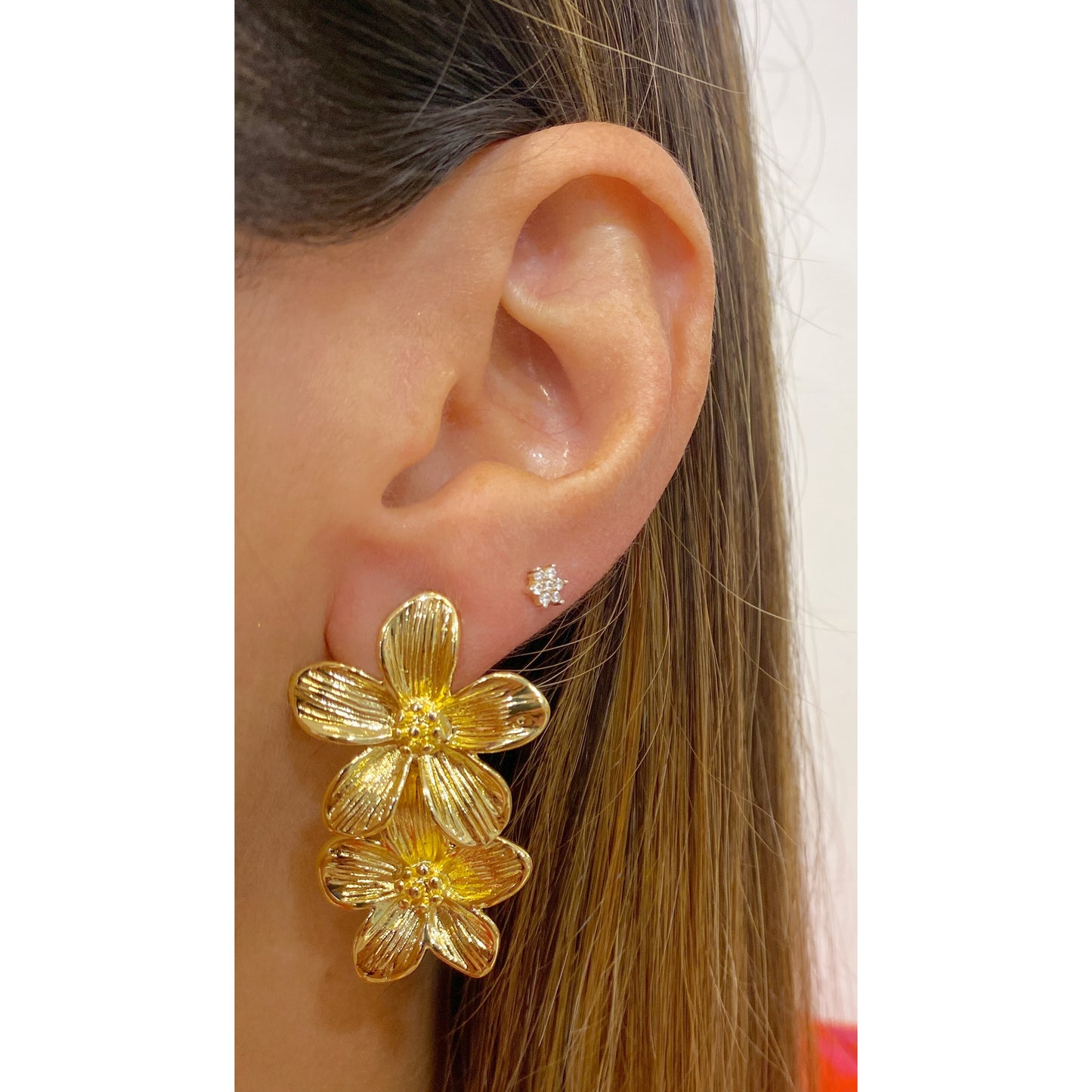 Aretes SUPIV